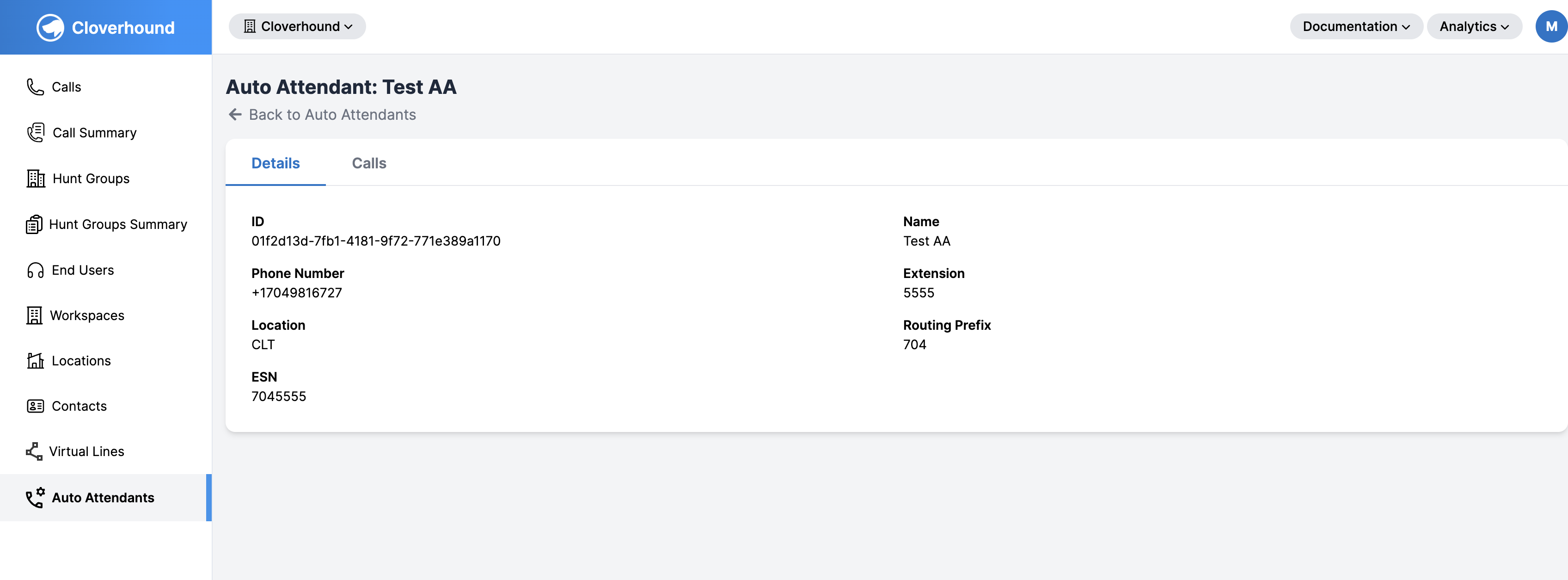 Auto Attendant Details