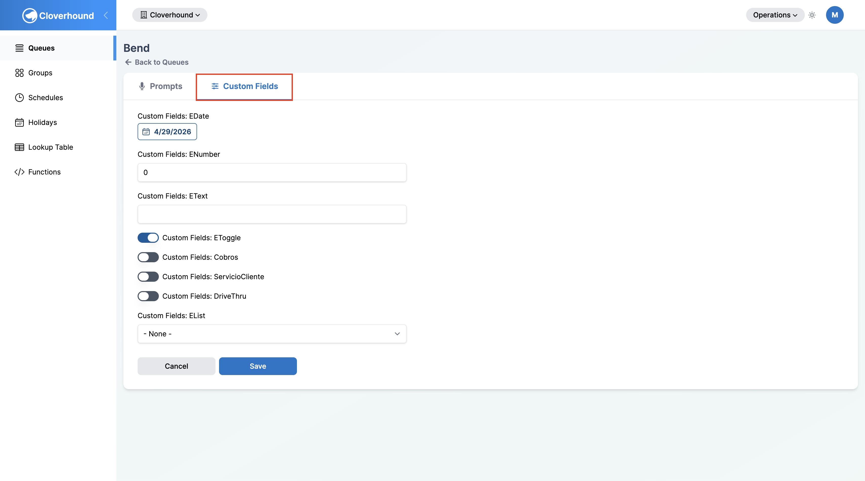 Custom Fields tab on the entity detail page