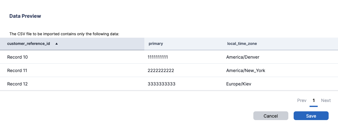 CSV Upload Success