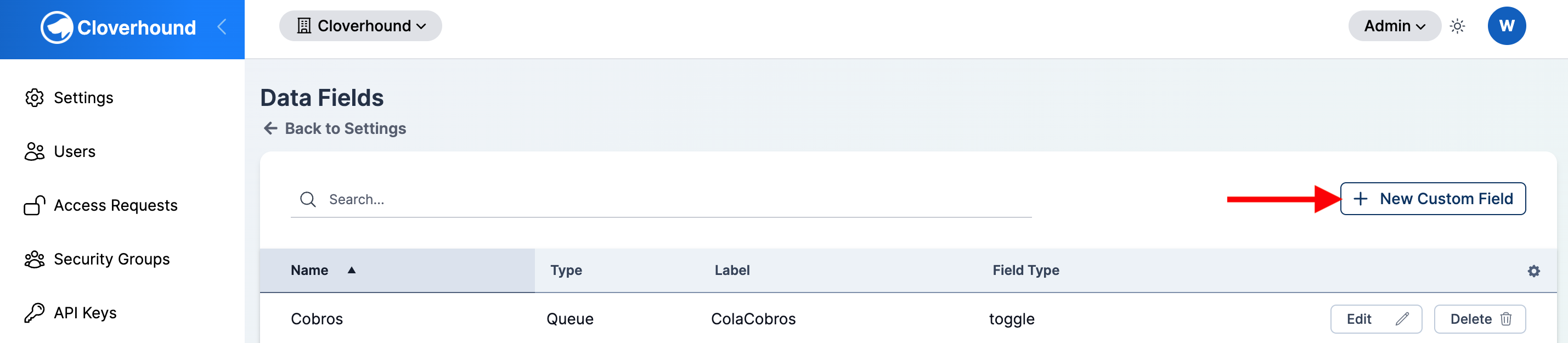 The New Custom Field button